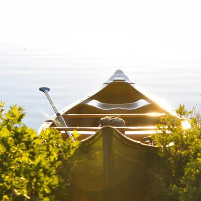 Jogar Aviator na TNGBET